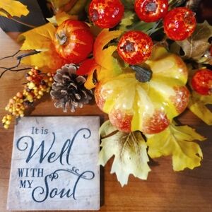 Like This Listing to Bookmark My Closet